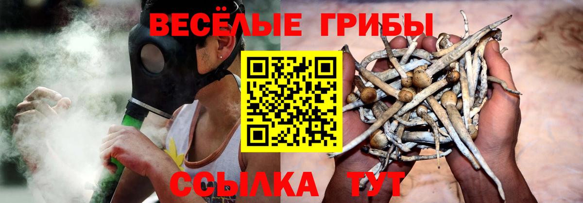 наркошоп  Галлюциногенные грибы Psilocybine cubensis  Вход с VPN  Нягань 